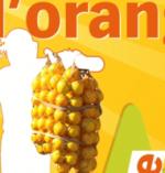 20100903オレンジ01