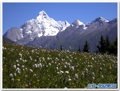 四姑娘山(スークーニャン山)」