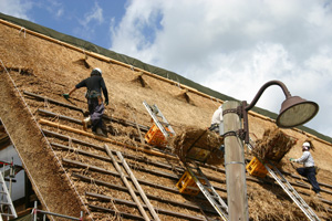 外国観光客の方は珍しそうに