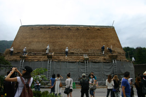 今日の葺き替え作業