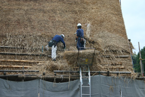 屋根の下部まで