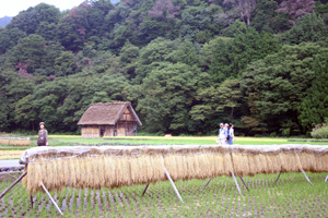 白川郷ならではの