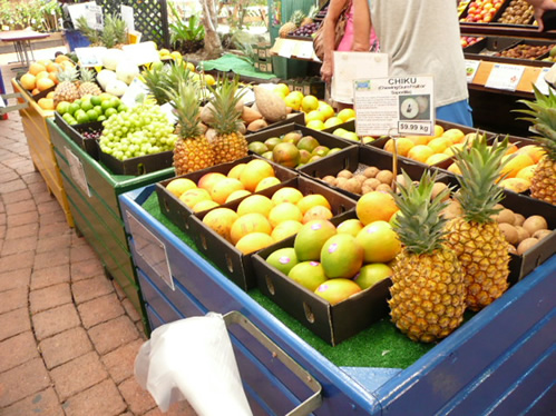 トロピカルフルーツワールド06