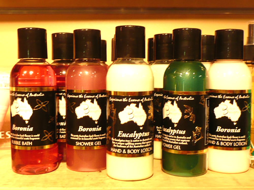 トロピカルフルーツワールド13