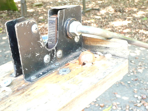 トロピカルフルーツワールド32