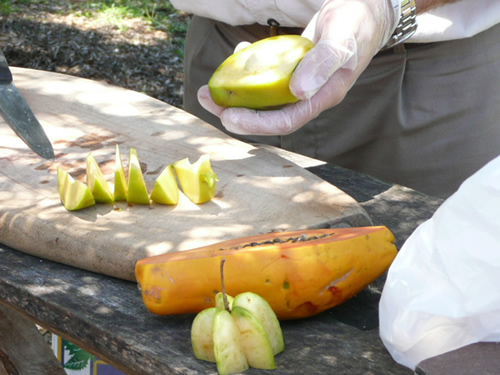 トロピカルフルーツワールド42