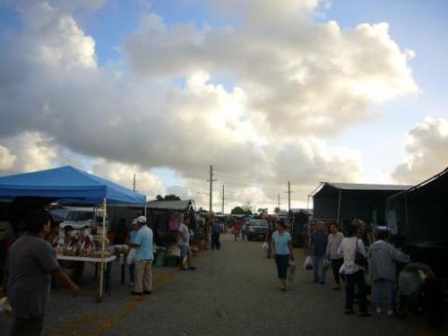 まだうっすら明るい、早起きしました。