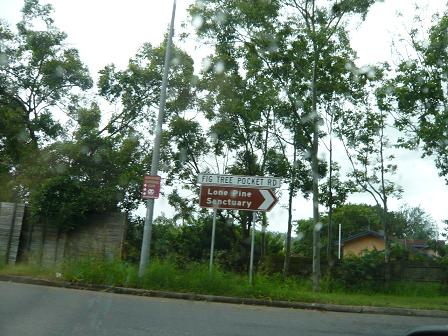 看板も出てきました。もう少し!