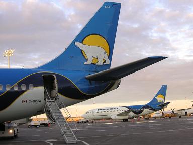 Northern-Airの絵柄は白熊！