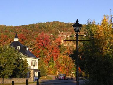 紅葉がとてもきれいです