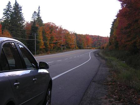 紅葉とレンタカー♪