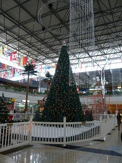 暑いクリスマスー☆