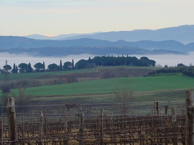ウンブリアワイン