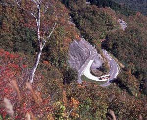 （秋）徐々に紅葉始まりました