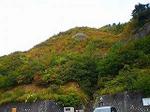 白山スーパー林道紅葉情報 A