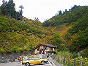 白山スーパー林道紅葉情報 B