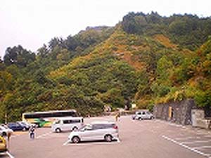 白山スーパー林道紅葉情報 C