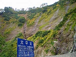 白山スーパー林道紅葉情報 D