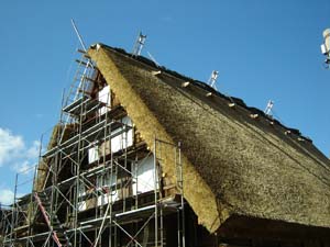 出来立ての屋根は切り口が綺麗
