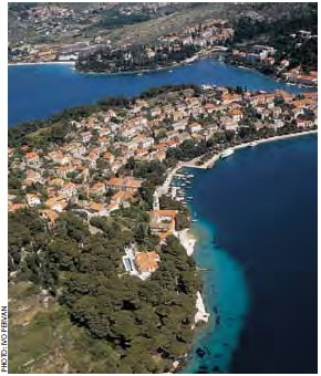 コナヴレ産「ワイン博物館」