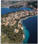 コナヴレ産「ワイン博物館」