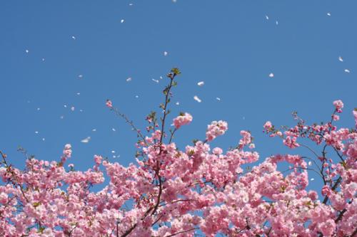 Ｐ１０３-０６１Ｆ