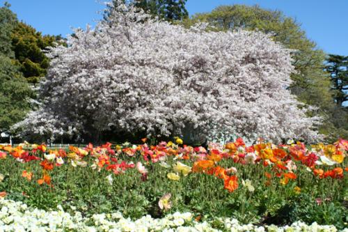 Ｐ１０５-０２１Ｆ