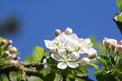 Ｐ１０５-０２７Ｆ