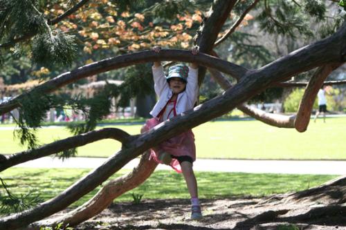 Ｐ１０５-０２９Ｆ