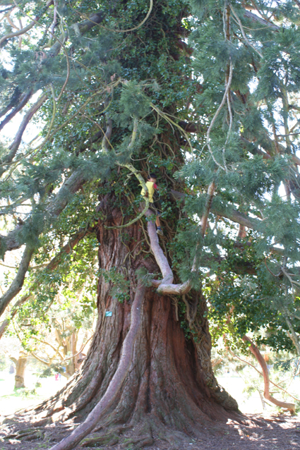 Ｐ１０５-０３５Ｆ