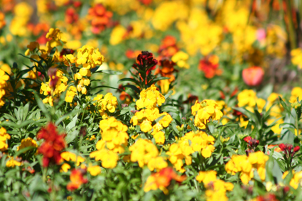 Ｐ１０５-０４０Ｆ