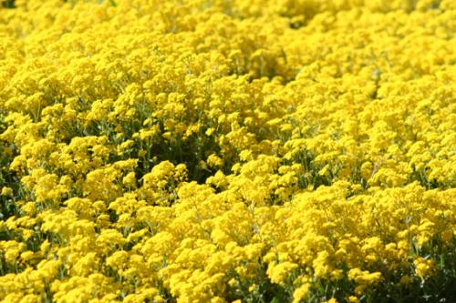 Ｐ１０５-０４２Ｆ