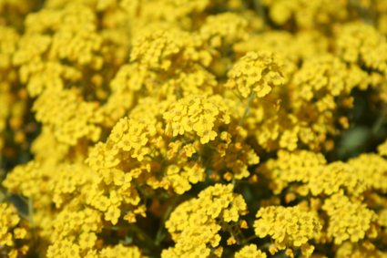 Ｐ１０５-０４５Ｆ