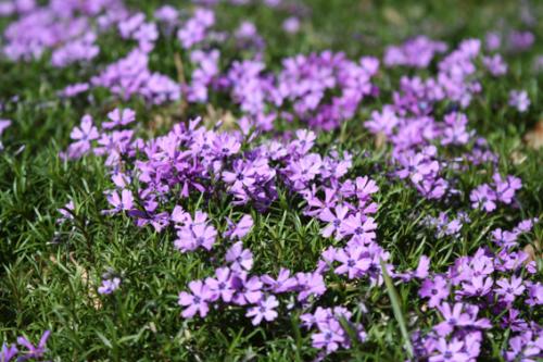 Ｐ１０５-０４６Ｆ