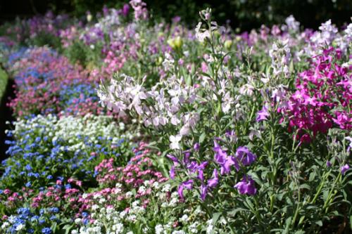 Ｐ１０５-０４９Ｆ