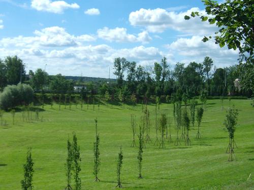 コンスタンチノフスキー宮殿02