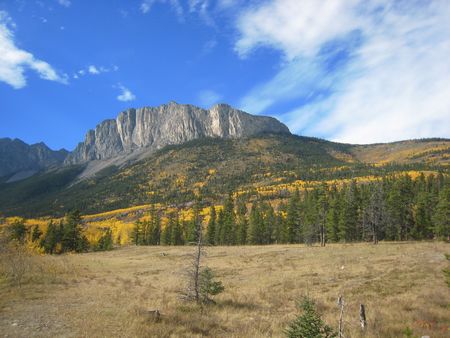ヤムナスカ　黄葉