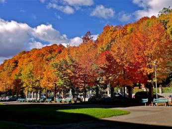 サンタンドボープレ教会-4