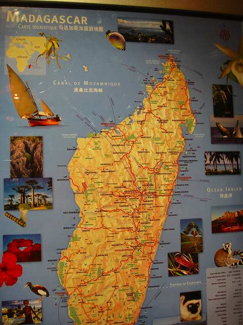 マダガスカル館