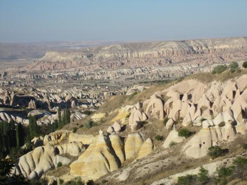 グリーンツアー