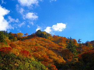 是非　白山スーパー林道へ！！