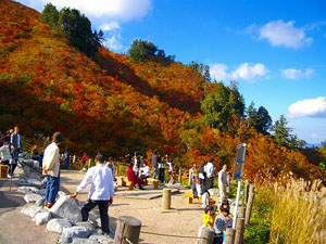 山頂付近は見ごろ