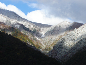 雪の白＆紅葉の赤・黄が綺麗