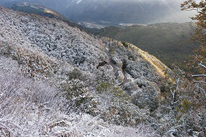 紅葉色と雪色のコラボ