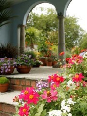 エラズリー・フラワーショー2011ｄ