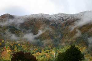 薄っすら白い雪