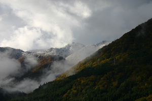 白山国立公園 大白川方面も