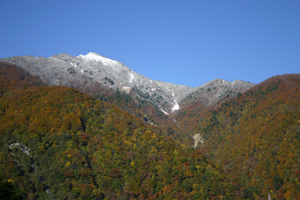 紅葉がピークです