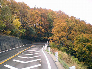 第3ヘアピン付近