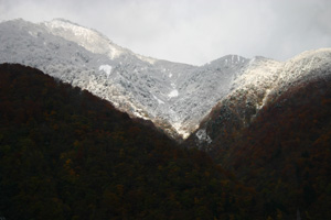 徐々に雪が下の方まで